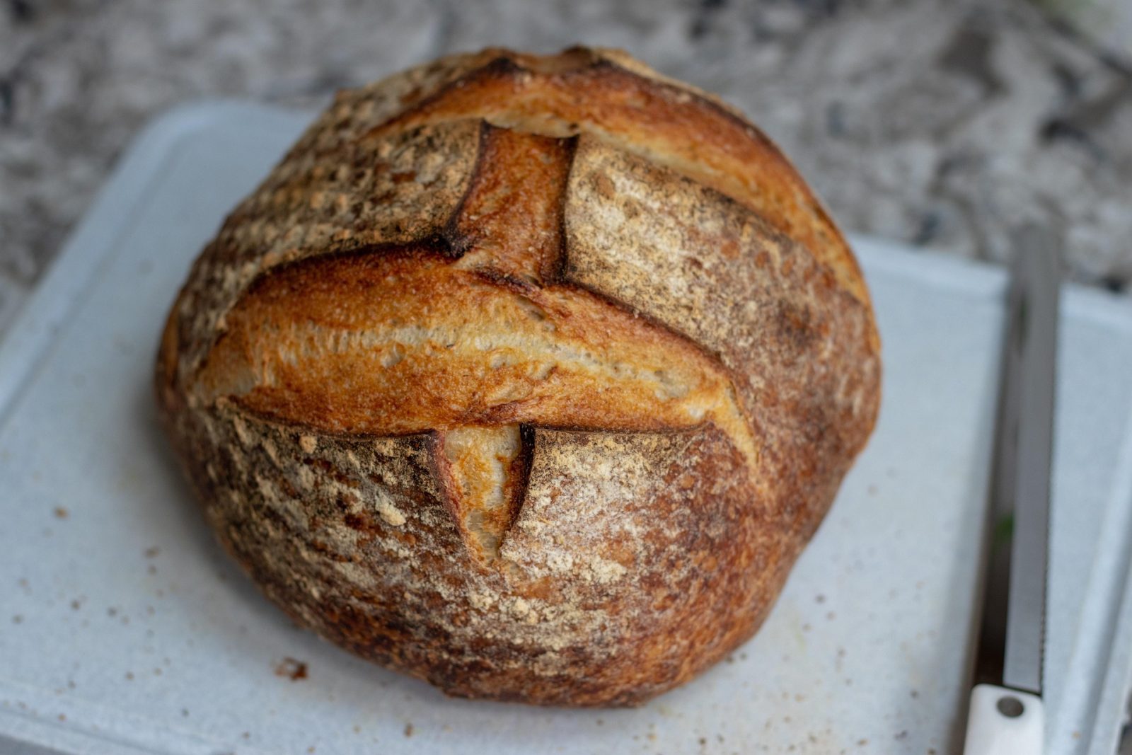 pain au levain entier